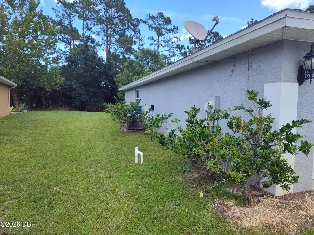 1425 Springleaf Drive Ormond Beach, FL 32174