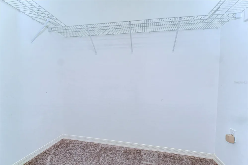 6716 BLUFF MEADOW COURT Wesley Chapel, FL 33545