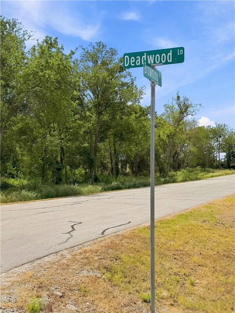 4666 Deadwood Lane Bryan, TX 77808
