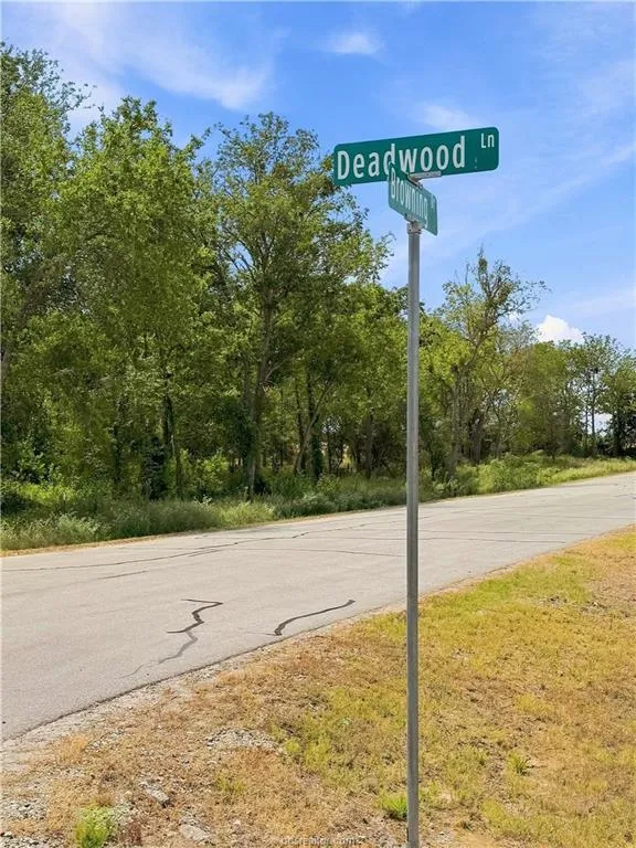 4556 Deadwood Lane Bryan, TX 77808