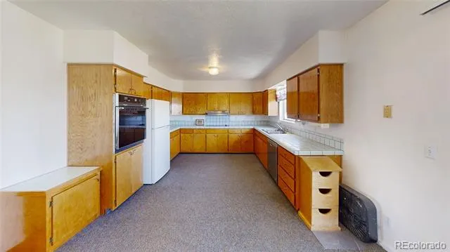 2504 Haskell Place Watkins, CO 80137