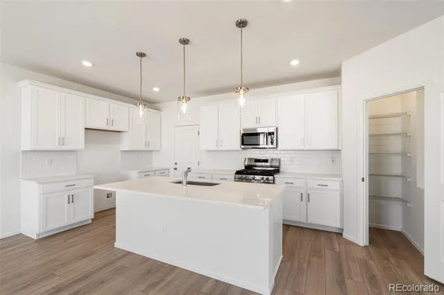 47389 Magnolia Avenue Bennett, CO 80102