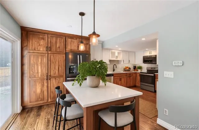 10066 Teton Court Lone Tree, CO 80124