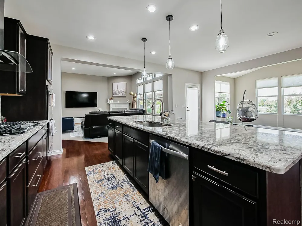 23431 S Crooked Tree Court Lyon Charter Township, MI 48178