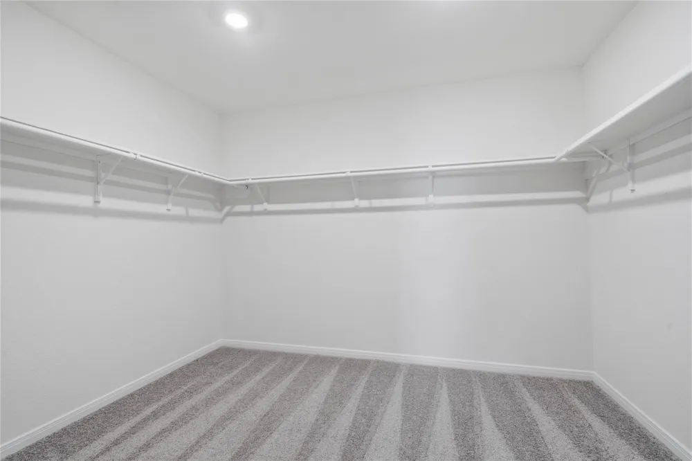 2902 Dardanos Lane Fresno, TX 77545