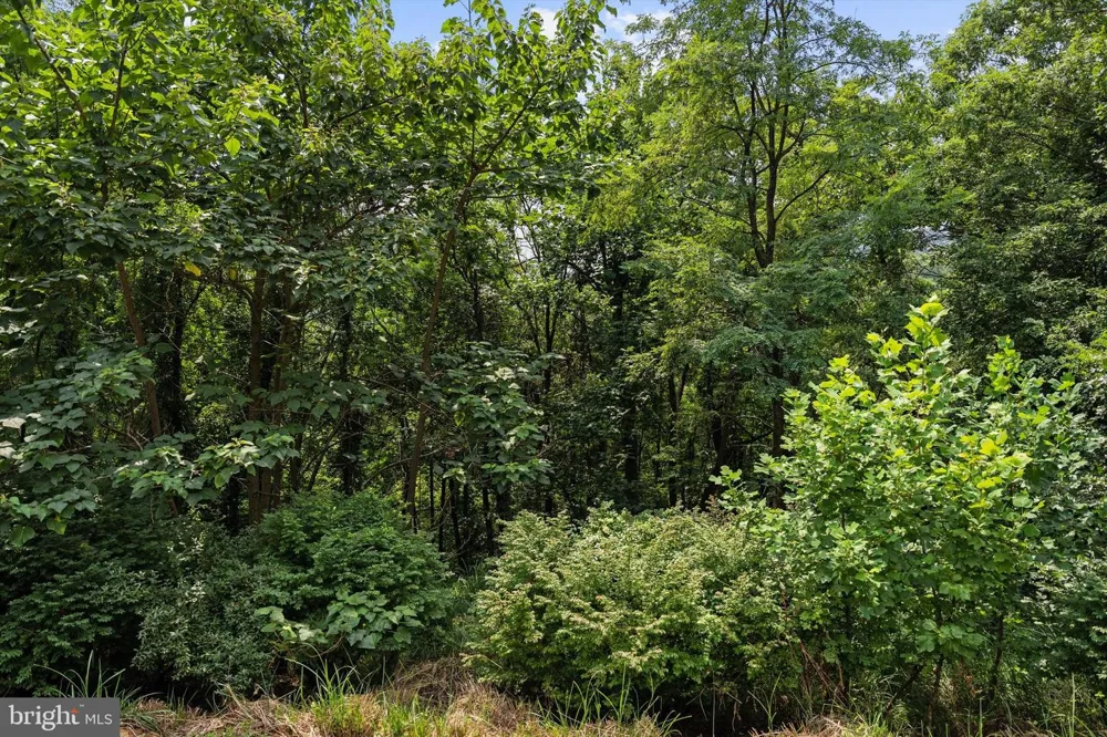 3967 HIDDEN VALLEY LANE Linden, VA 22642