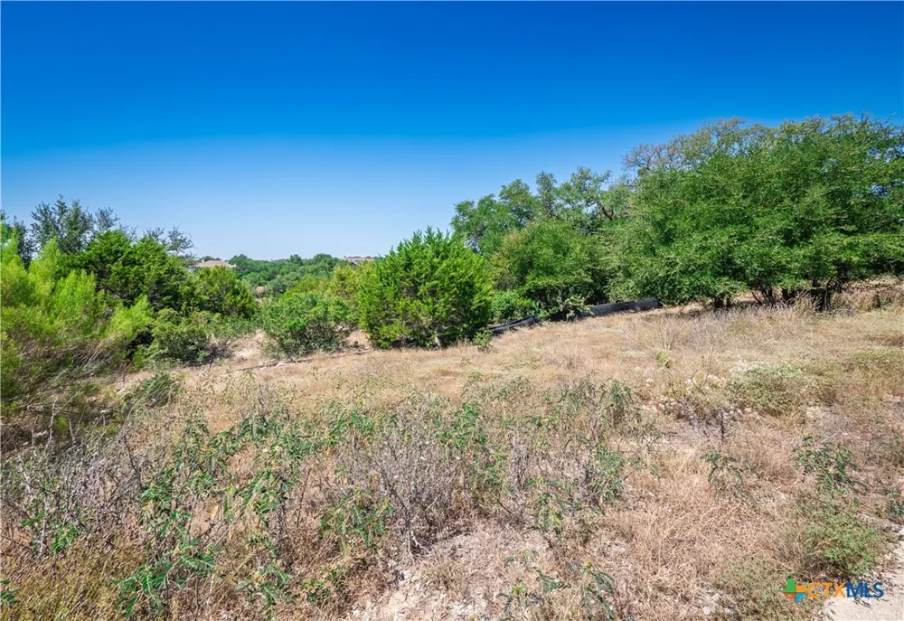 1324 Pinot Grigio New Braunfels, TX 78132