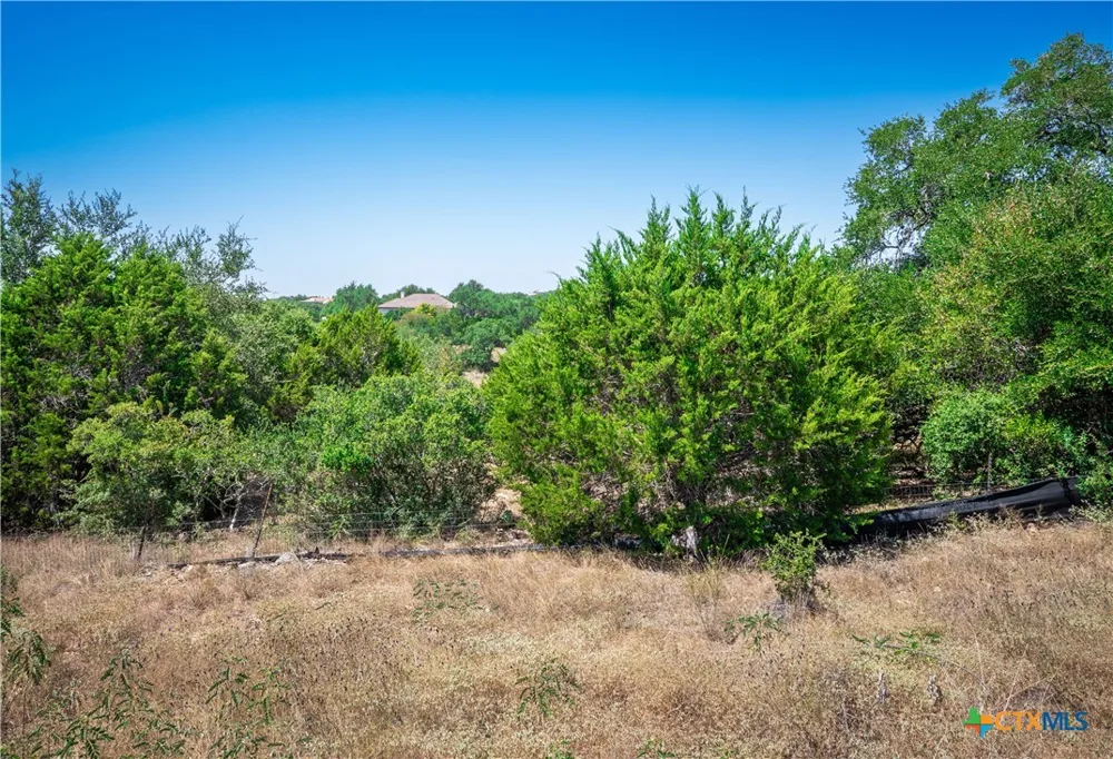 1324 Pinot Grigio New Braunfels, TX 78132