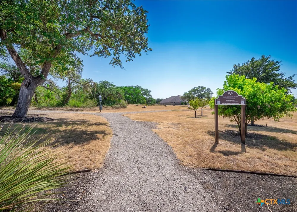 1324 Pinot Grigio New Braunfels, TX 78132