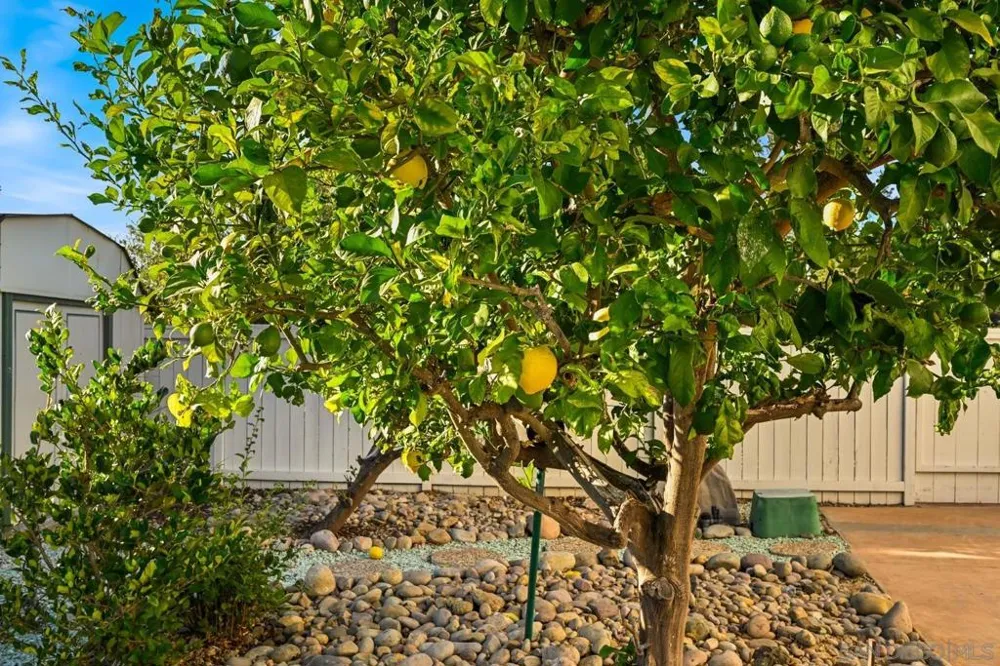 12893 Palisades Court Poway, CA 92064