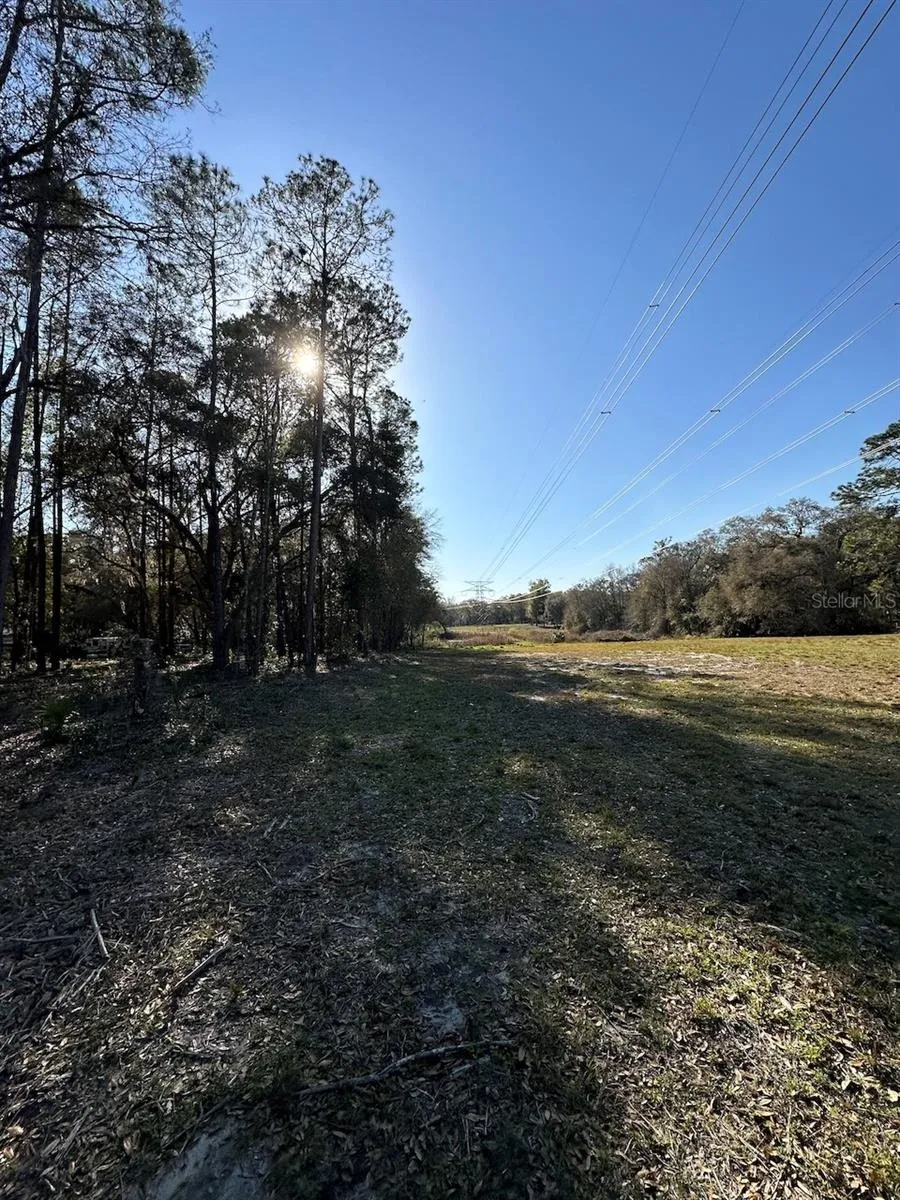 TBD NE 151 LANE Fort Mc Coy, FL 32134