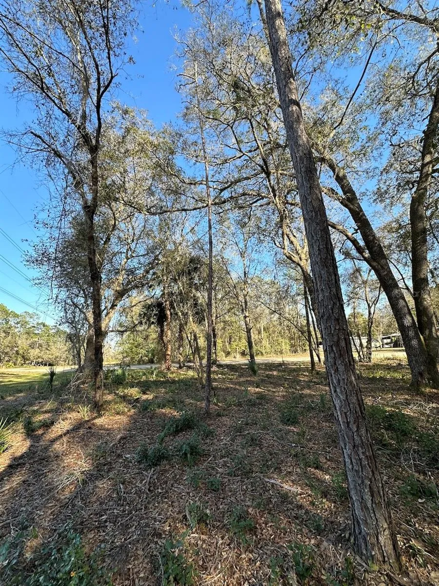 TBD NE 151 LANE Fort Mc Coy, FL 32134