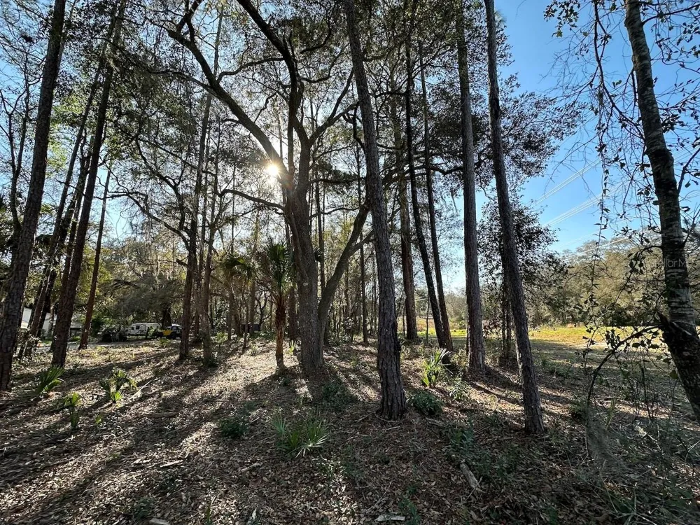 TBD NE 151 LANE Fort Mc Coy, FL 32134