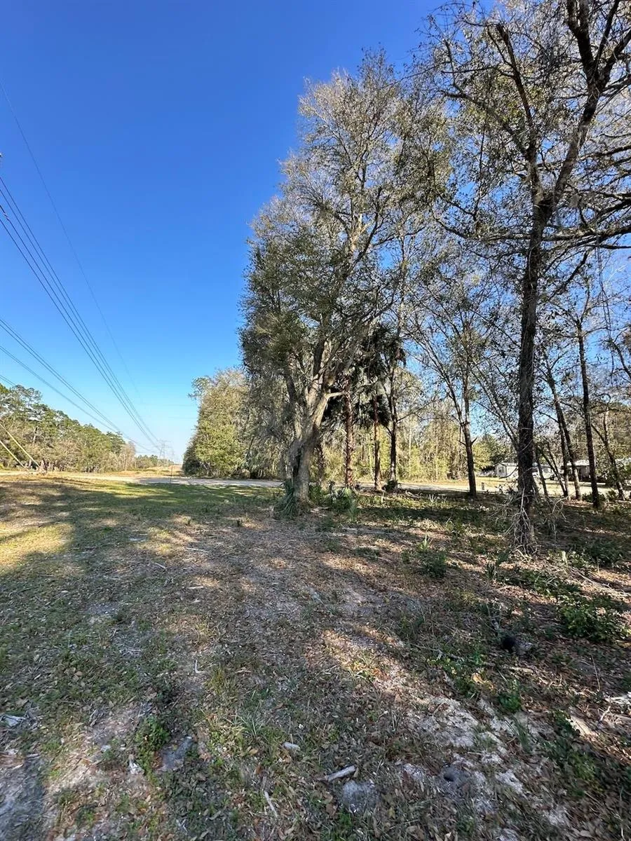 TBD NE 151 LANE Fort Mc Coy, FL 32134