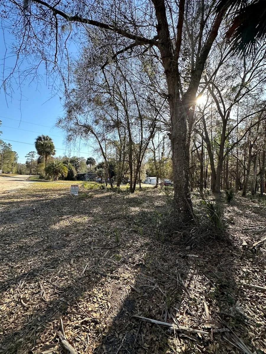 TBD NE 151 LANE Fort Mc Coy, FL 32134