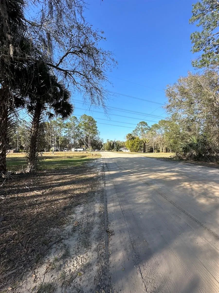 TBD NE 151 LANE Fort Mc Coy, FL 32134