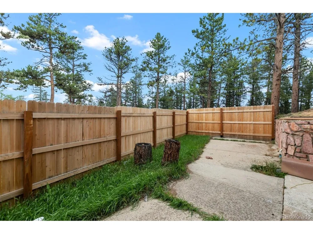 300 Ute Trail Woodland Park, CO 80863