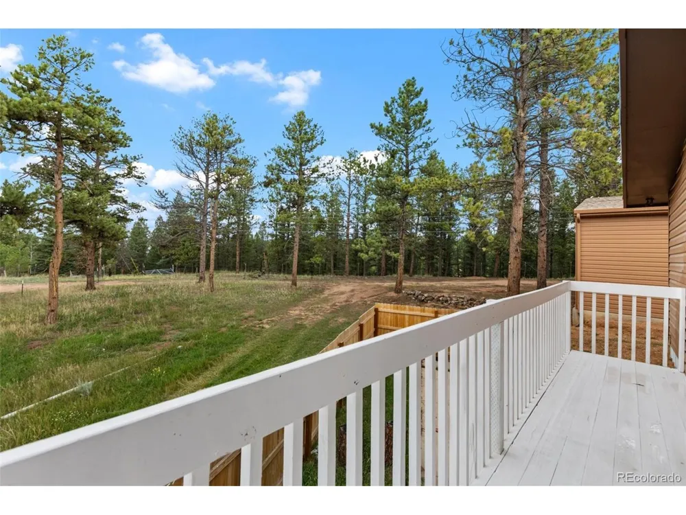 300 Ute Trail Woodland Park, CO 80863
