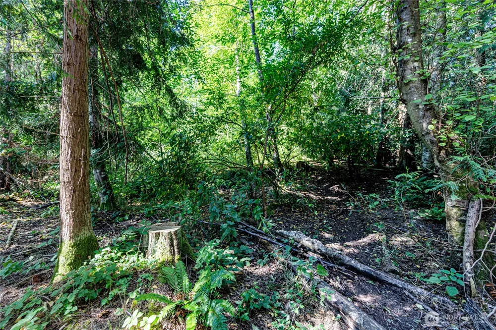 2222 S Bagley Creek Road Port Angeles, WA 98362