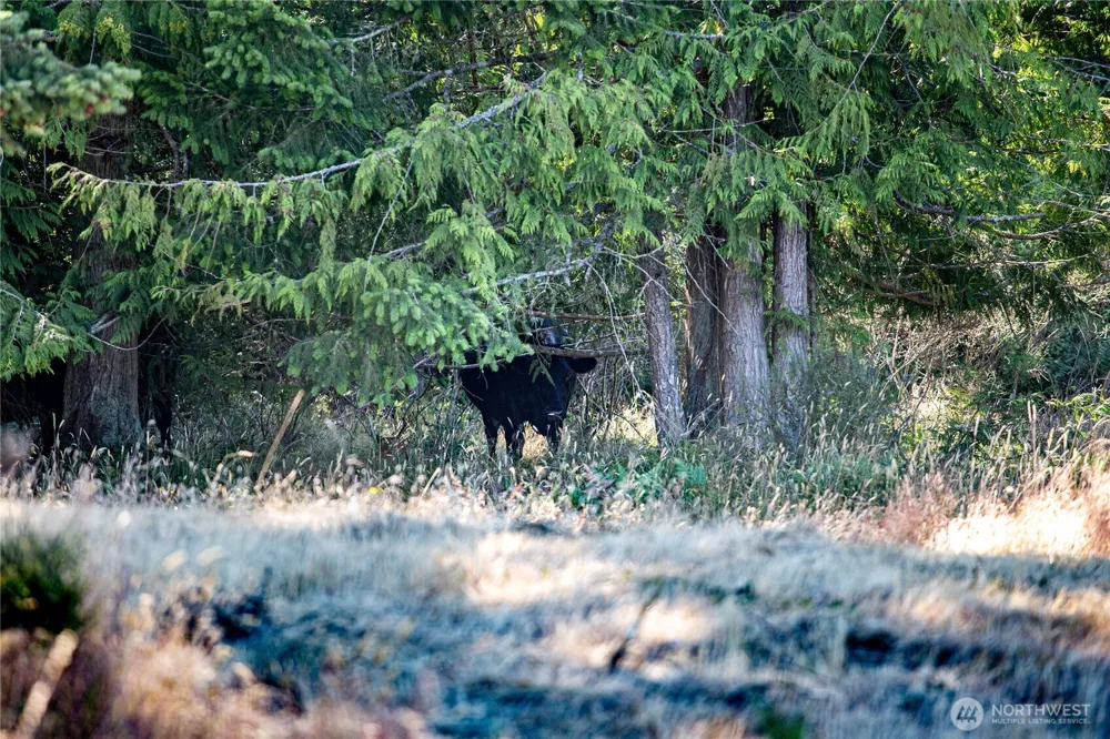 2222 S Bagley Creek Road Port Angeles, WA 98362