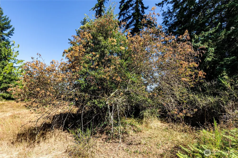 2222 S Bagley Creek Road Port Angeles, WA 98362