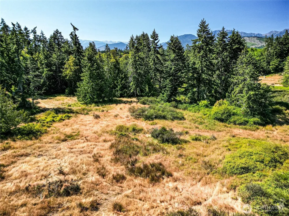 2222 S Bagley Creek Road Port Angeles, WA 98362