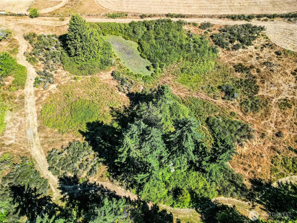 2222 S Bagley Creek Road Port Angeles, WA 98362