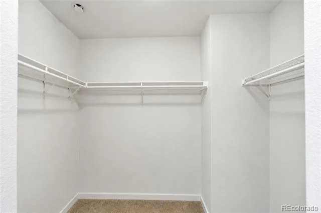3720 Kenai Street Evans, CO 80620