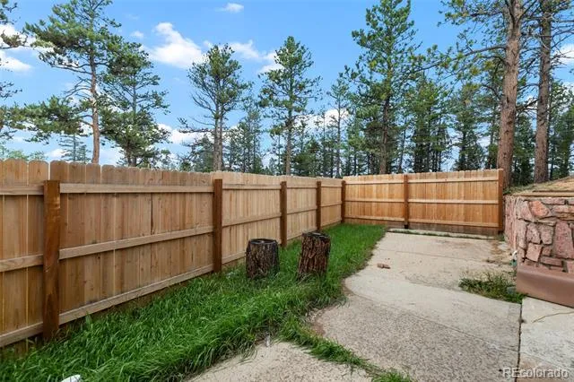300 Ute Trail Woodland Park, CO 80863
