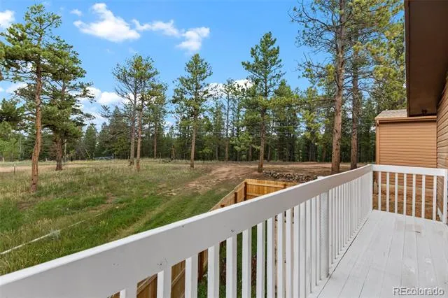 300 Ute Trail Woodland Park, CO 80863