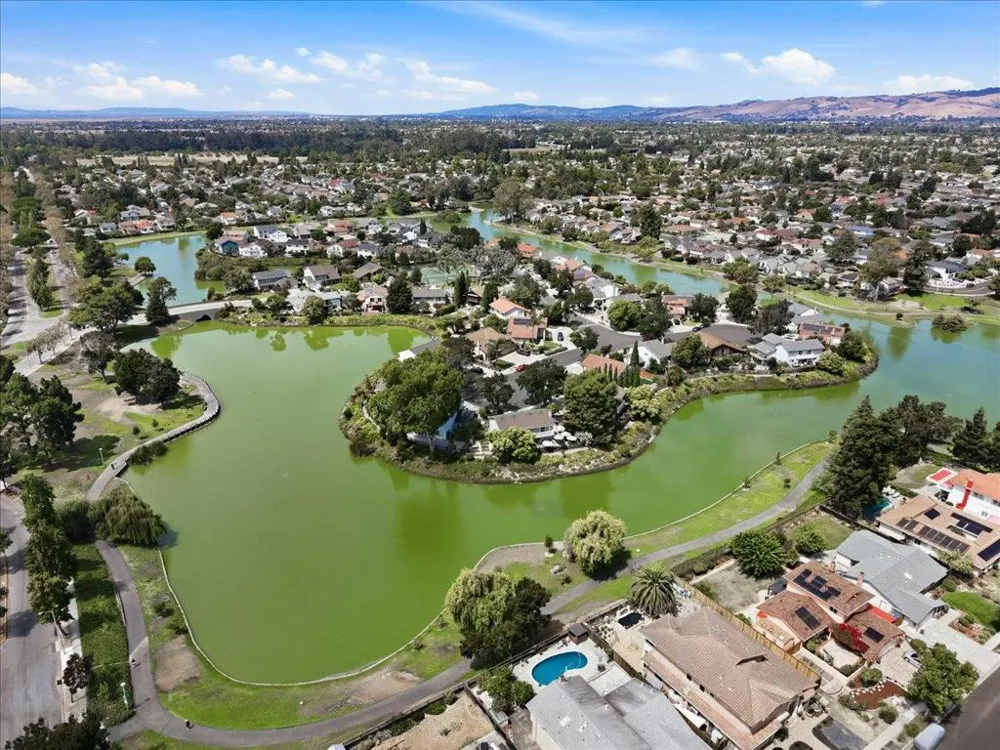 36148 Mangrove Lane Newark, CA 94560