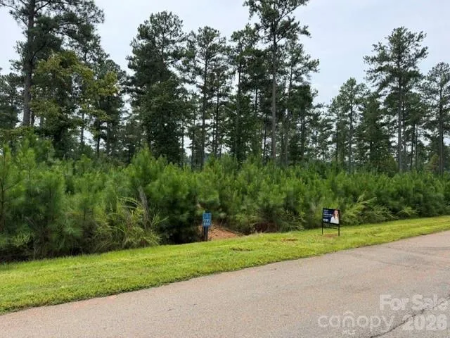 0 Big View Lane #222 Granite Falls, NC 28630