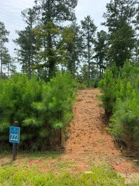 0 Big View Lane #222 Granite Falls, NC 28630