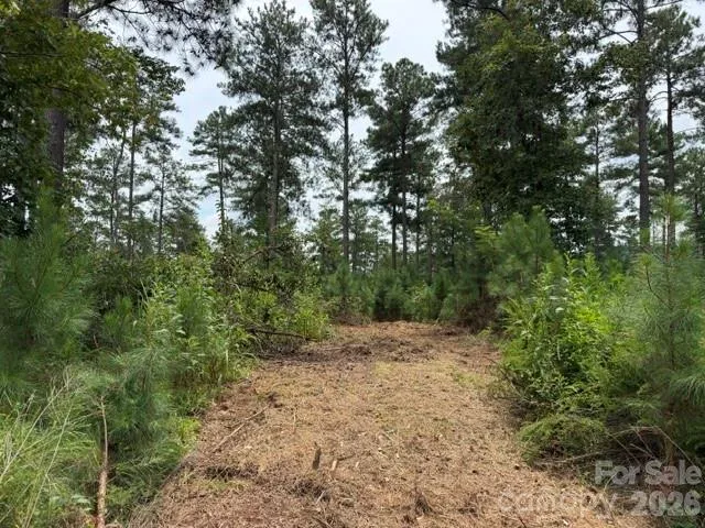 0 Big View Lane #222 Granite Falls, NC 28630