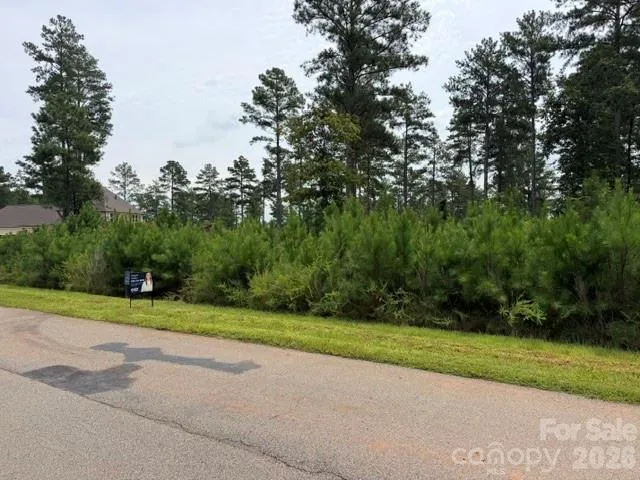 0 Big View Lane #222 Granite Falls, NC 28630
