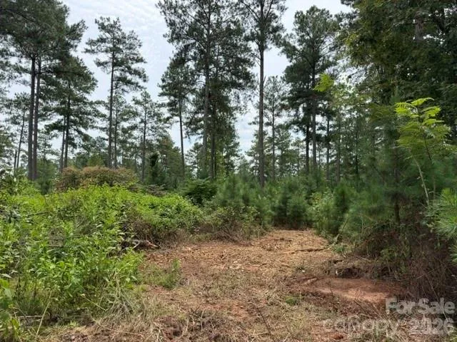0 Big View Lane #222 Granite Falls, NC 28630