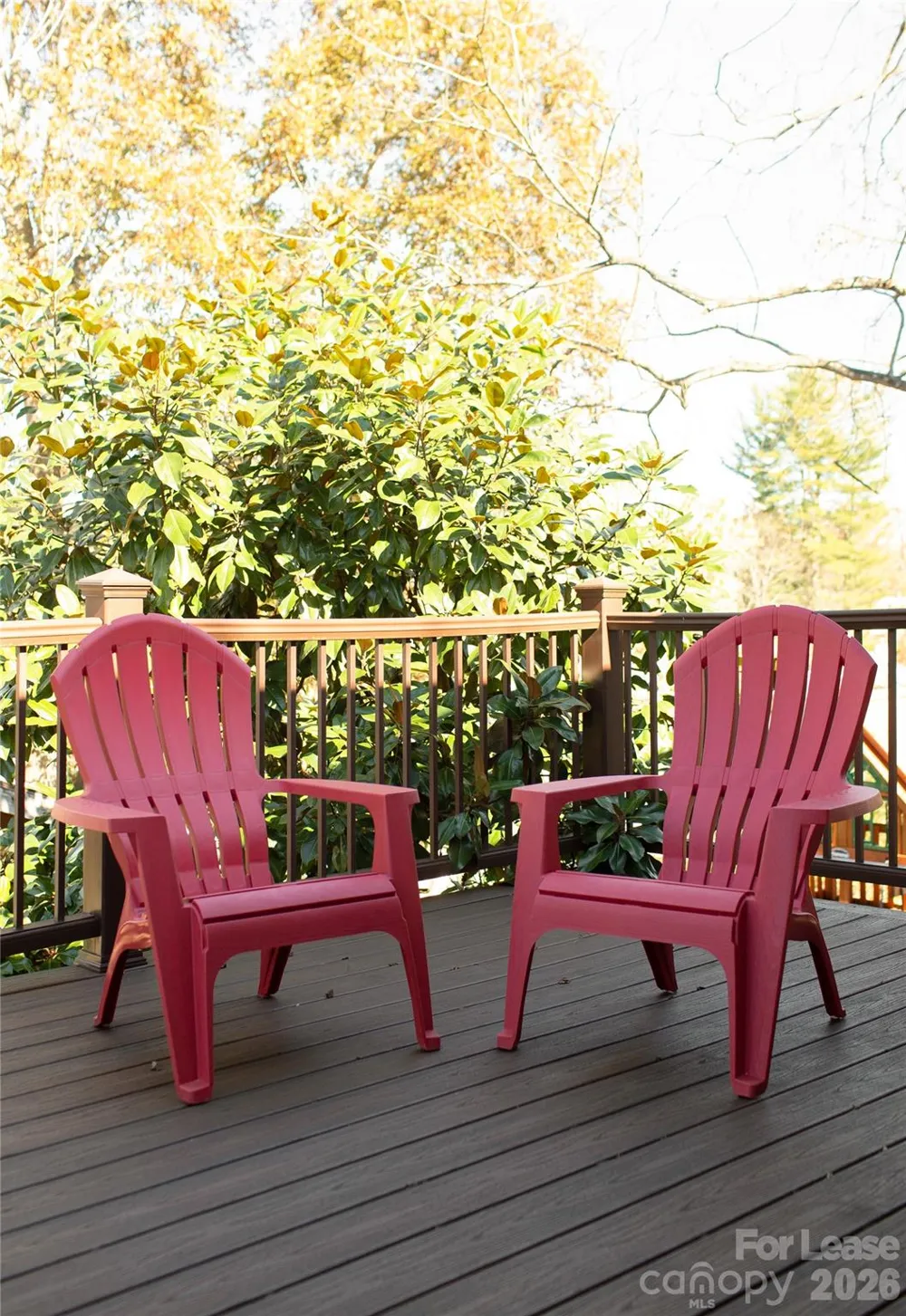 41 Mildred Avenue Asheville, NC 28806