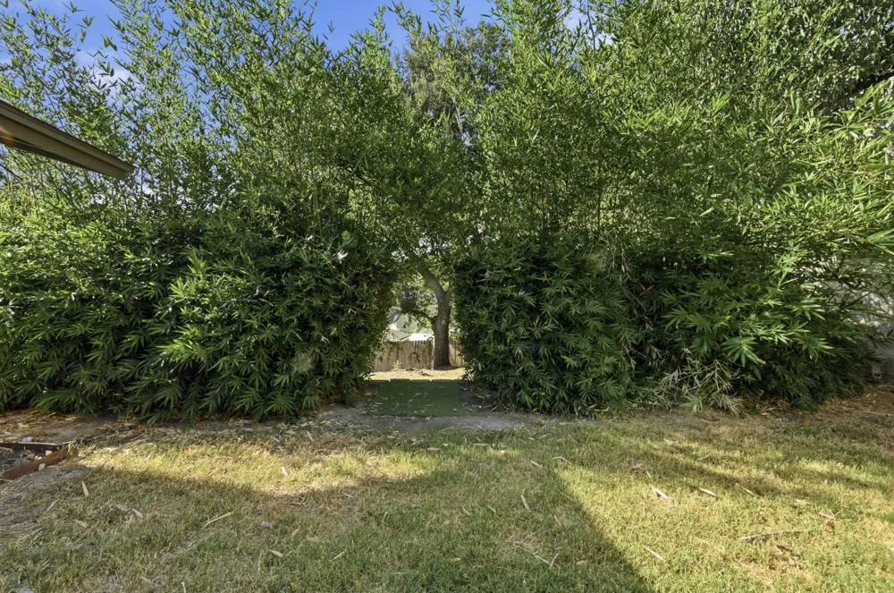 2600 Oakhaven Drive Austin, TX 78704