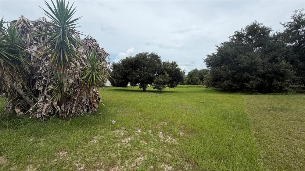 11719 OSWALT ROAD Clermont, FL 34711