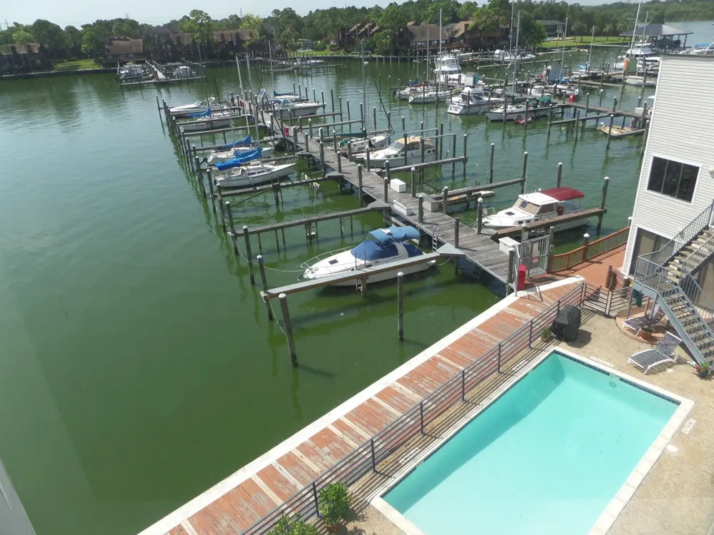 793 Davis Road #312 League City, TX 77573
