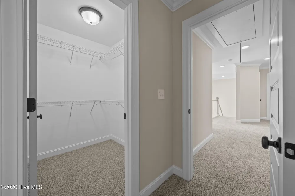 819 Lendy Drive Greenville, NC 27858