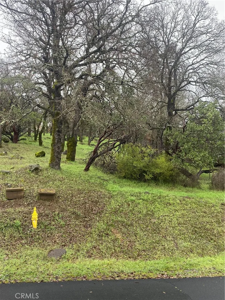 19210 Shore Court Hidden Valley Lake, CA 95467