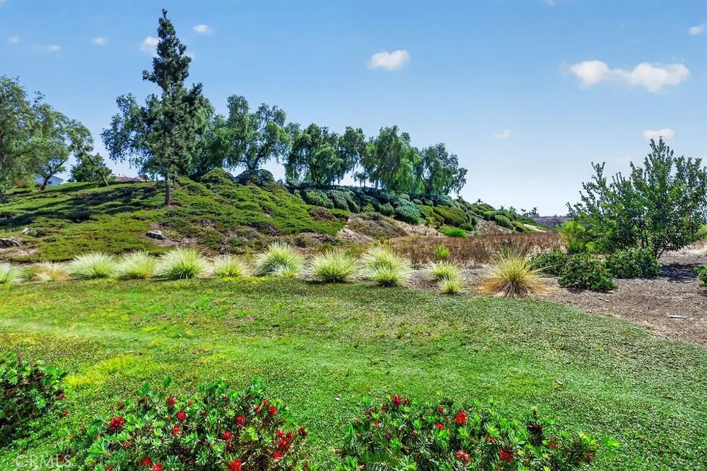 3 Caribbean Court Laguna Niguel, CA 92677