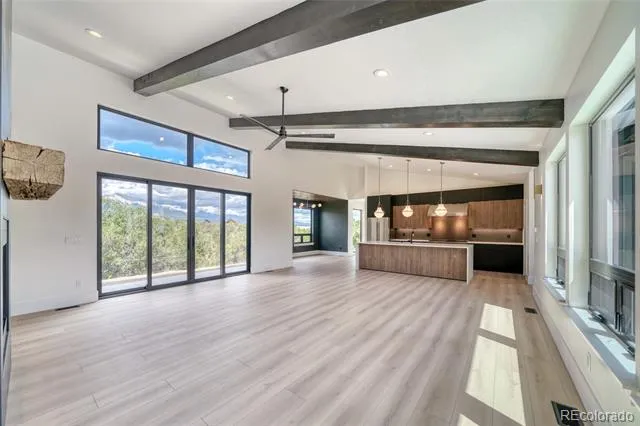 10339 Outpost Lane Nathrop, CO 81236