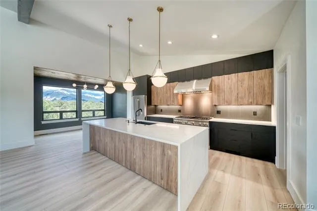 10339 Outpost Lane Nathrop, CO 81236