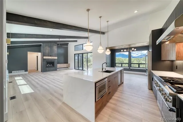 10339 Outpost Lane Nathrop, CO 81236