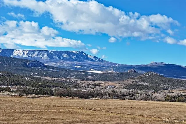 12482 54 7/10 ROAD Molina, CO 81646