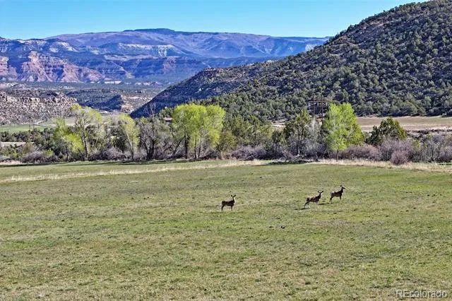 12482 54 7/10 ROAD Molina, CO 81646