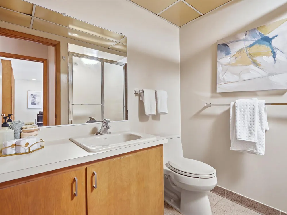 17 Regent Drive Ann Arbor, MI 48104