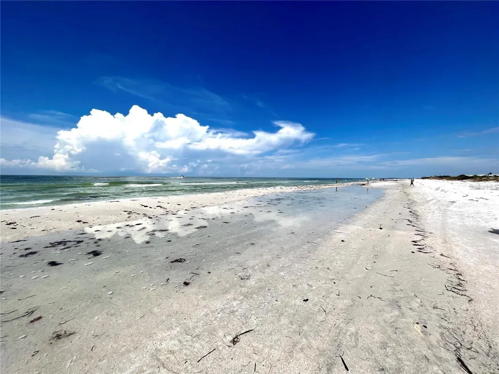 880 MANDALAY AVENUE #N111 Clearwater Beach, FL 33767
